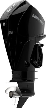 Mercury F 175 XL DS - 2